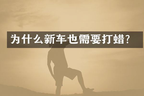 为什么新车也需要打蜡？