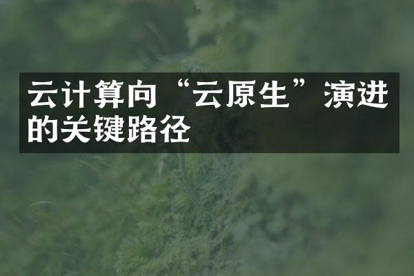 云计算向“云原生”演进的关键路径