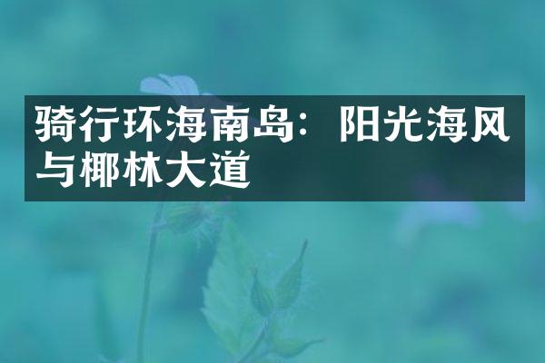 骑行环海南岛：阳光海风与椰林大道