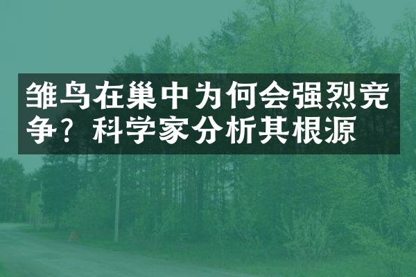 雏鸟在巢中为何会强烈竞争？科学家分析其根源