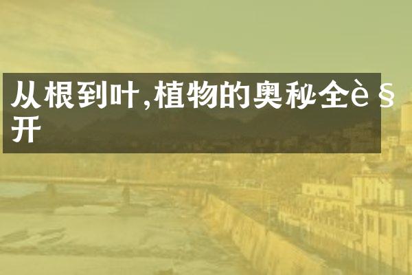 从根到叶,植物的奥秘全解开