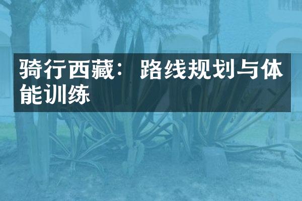 骑行西藏：路线规划与体能训练