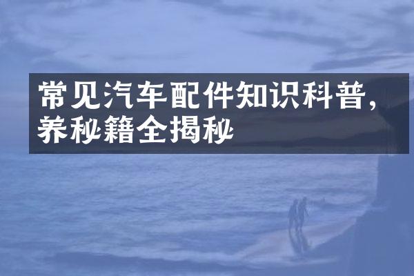 常见汽车配件知识科普,保养秘籍全揭秘