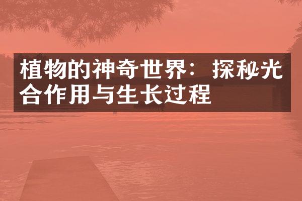 植物的神奇世界：探秘光合作用与生长过程