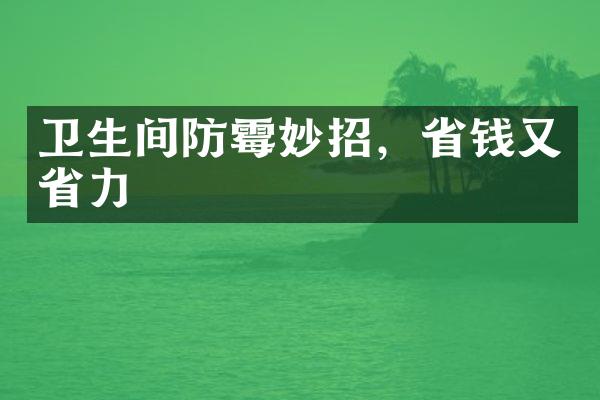 卫生间防霉妙招，省钱又省力