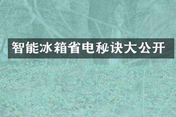 智能冰箱省电秘诀大公开
