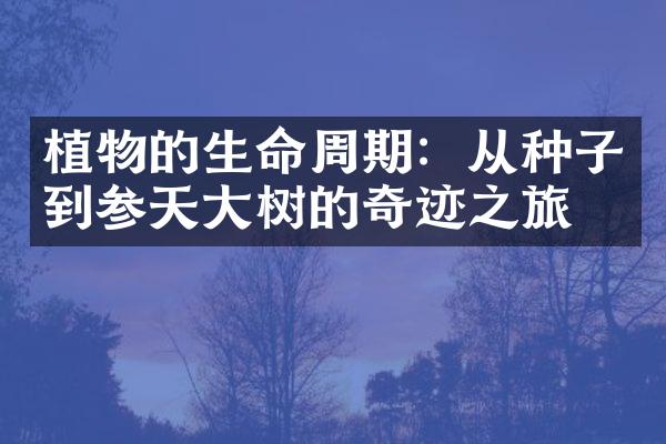 植物的生命周期：从种子到参天大树的奇迹之旅