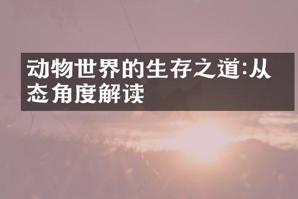 动物世界的生存之道:从生态角度解读