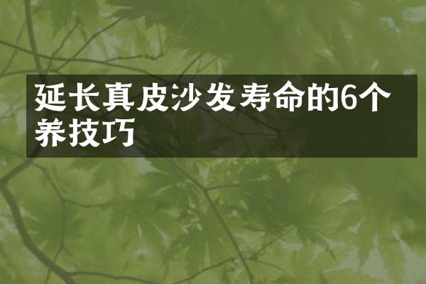 延长真皮沙发寿命的6个保养技巧