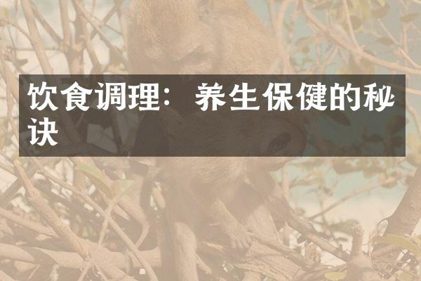 饮食调理：养生保健的秘诀