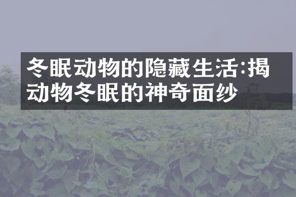 冬眠动物的隐藏生活:揭开动物冬眠的神奇面纱