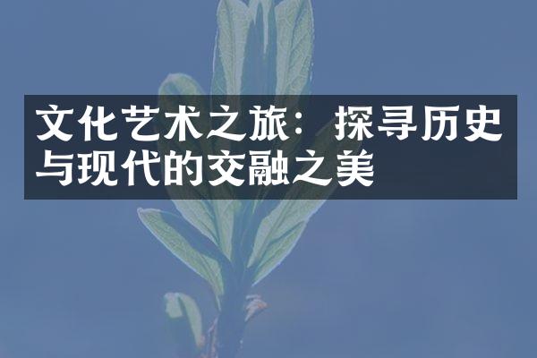 文化艺术之旅：探寻历史与现代的交融之美