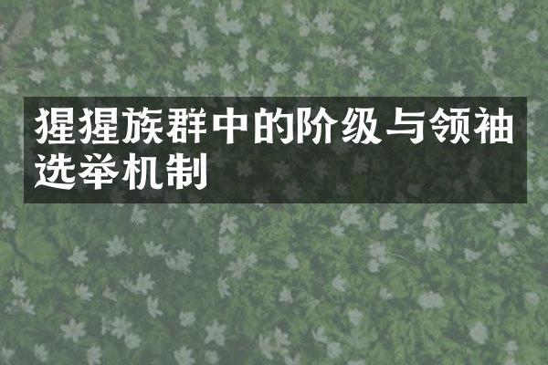 猩猩族群中的阶级与领袖选举机制