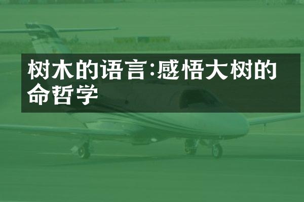 树木的语言:感悟大树的生命哲学
