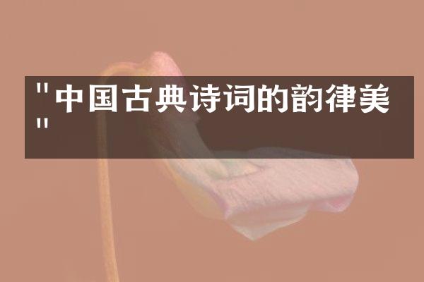 "中国古典诗词的韵律美学"
