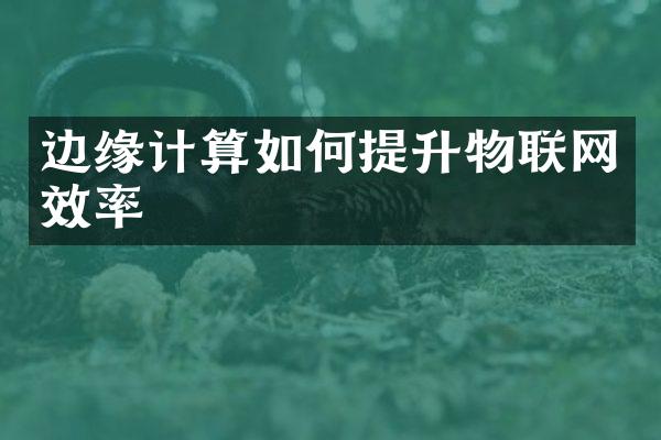 边缘计算如何提升物联网效率