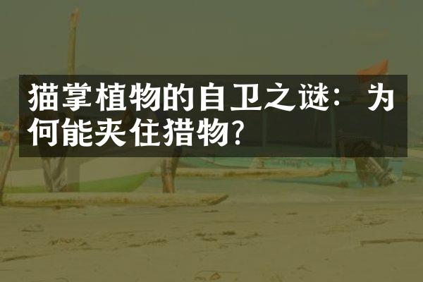 猫掌植物的自卫之谜：为何能夹住猎物？