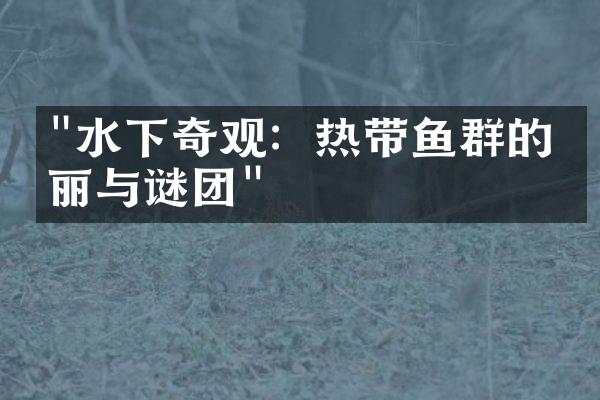 "水下奇观：热带鱼群的美丽与谜团"