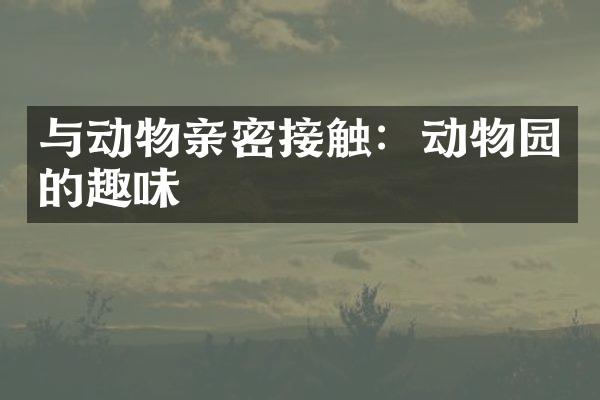 与动物亲密接触：动物园的趣味