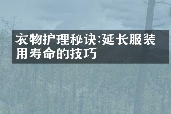 衣物护理秘诀:延长服装使用寿命的技巧
