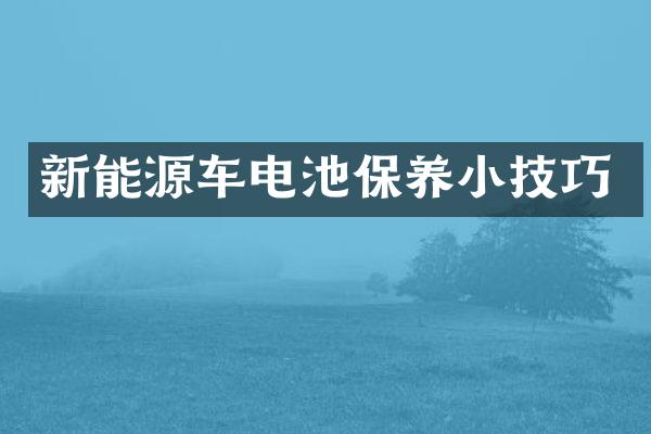 新能源车电池保养小技巧