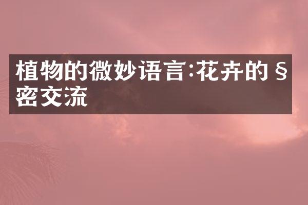植物的微妙语言:花卉的秘密交流