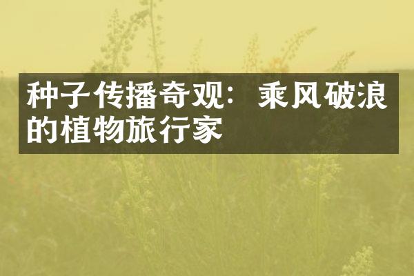 种子传播奇观：乘风破浪的植物旅行家