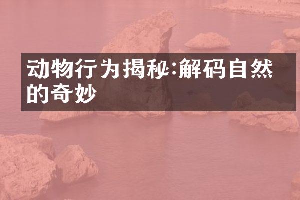 动物行为揭秘:解码自然界的奇妙