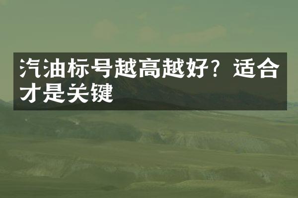 汽油标号越高越好？适合才是关键