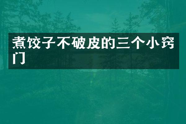 煮饺子不破皮的三个小窍门
