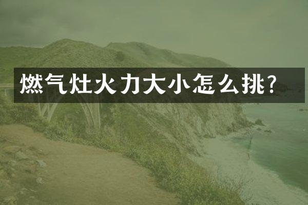 燃气灶火力大小怎么挑？