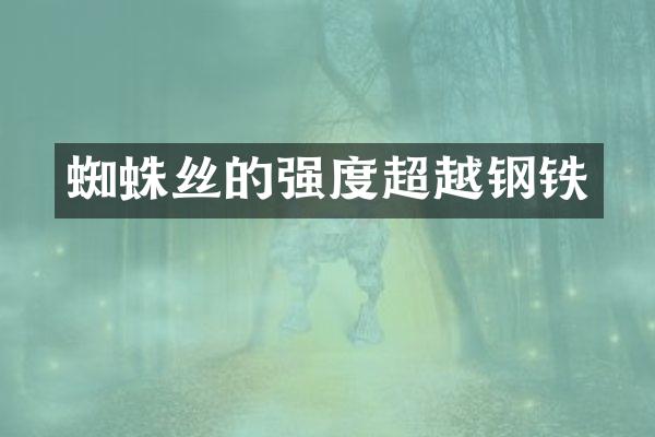 蜘蛛丝的强度超越钢铁