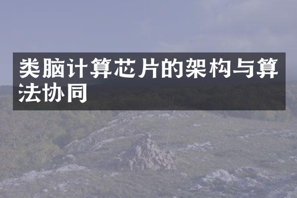 类脑计算芯片的架构与算法协同