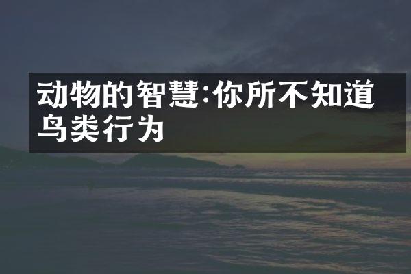 动物的智慧:你所不知道的鸟类行为