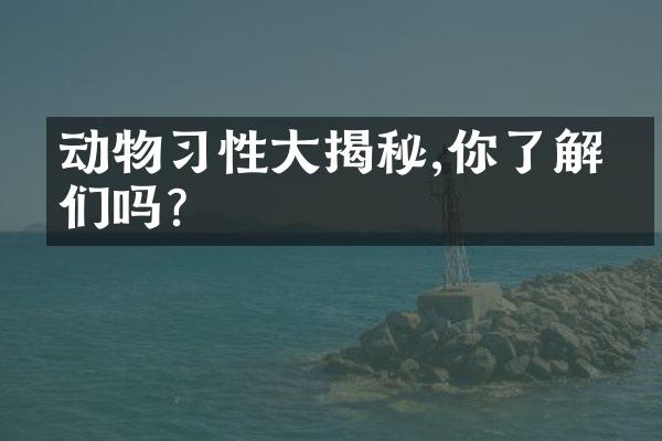 动物习性大揭秘,你了解它们吗?