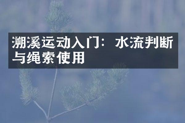 溯溪运动入门：水流判断与绳索使用