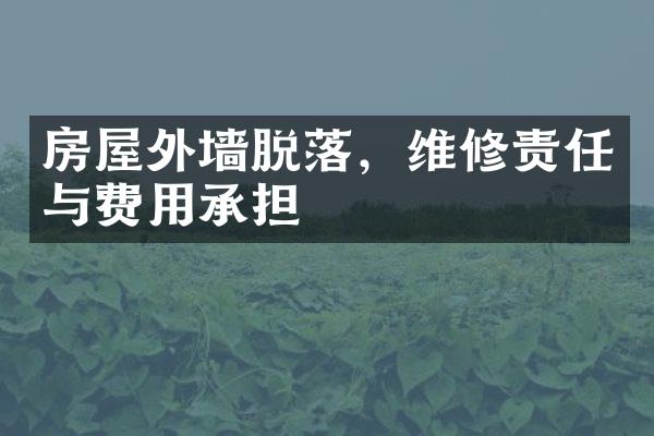 房屋外墙脱落，维修责任与费用承担