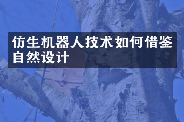 仿生机器人技术如何借鉴自然设计