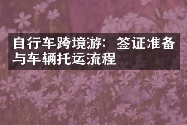 自行车跨境游：签证准备与车辆托运流程