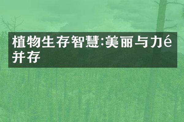 植物生存智慧:美丽与力量并存