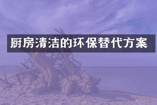 厨房清洁的环保替代方案