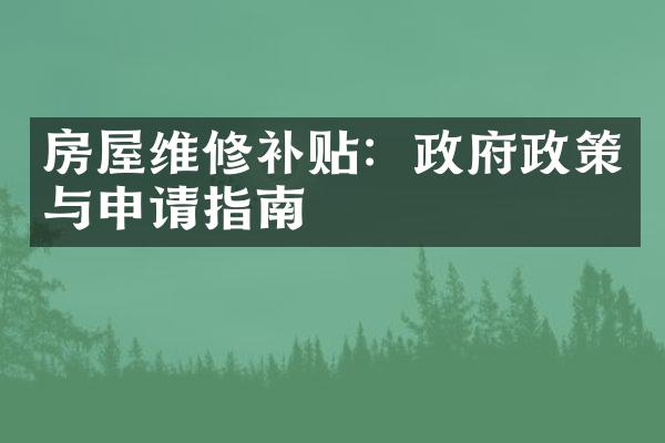 房屋维修补贴：政府政策与申请指南