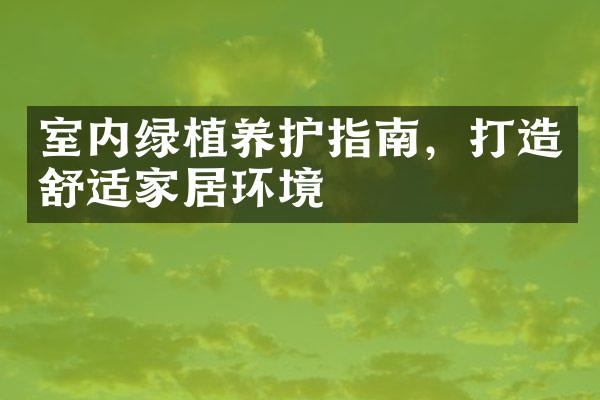 室内绿植养护指南，打造舒适家居环境