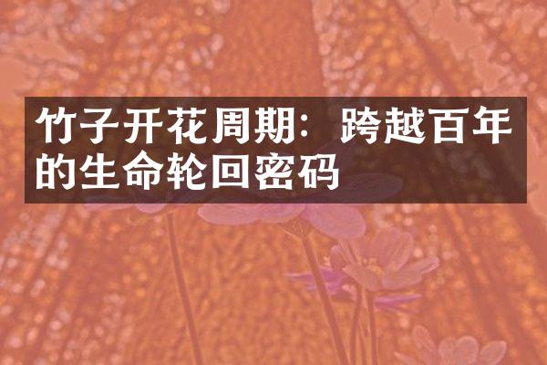 竹子开花周期：跨越百年的生命轮回密码