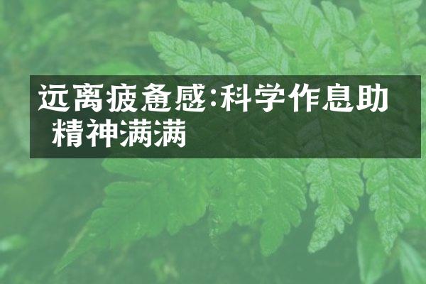 远离疲惫感:科学作息助你精神满满