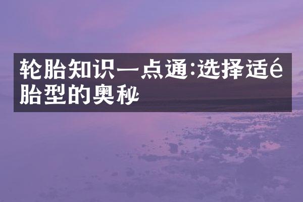 轮胎知识一点通:选择适配胎型的奥秘