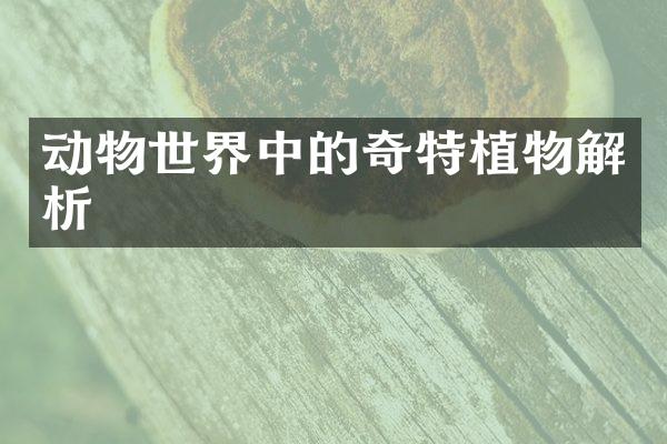 动物世界中的奇特植物解析