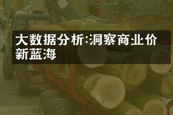 大数据分析:洞察商业价值新蓝海