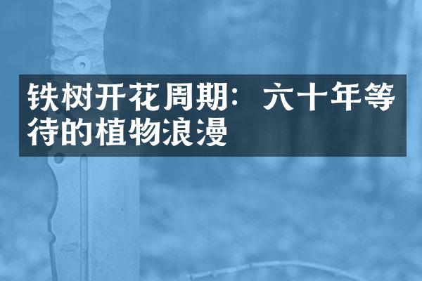 铁树开花周期：六十年等待的植物浪漫
