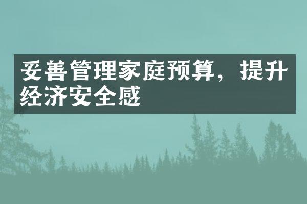 妥善管理家庭预算，提升经济安全感